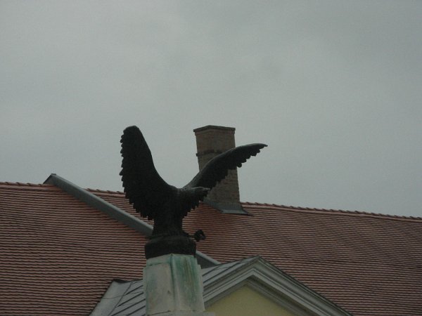 Szarvas 010